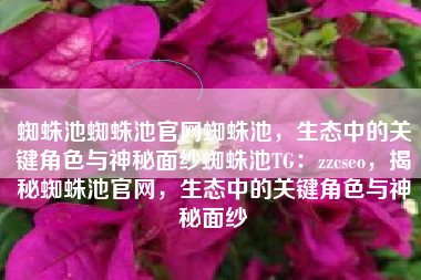 蜘蛛池蜘蛛池官网蜘蛛池，生态中的关键角色与神秘面纱蜘蛛池TG：zzcseo，揭秘蜘蛛池官网，生态中的关键角色与神秘面纱