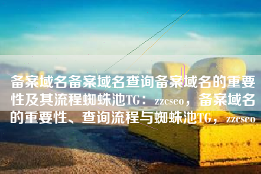 备案域名备案域名查询备案域名的重要性及其流程蜘蛛池TG：zzcseo，备案域名的重要性、查询流程与蜘蛛池TG，zzcseo