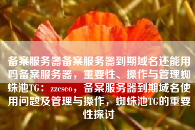 备案服务器备案服务器到期域名还能用吗备案服务器，重要性、操作与管理蜘蛛池TG：zzcseo，备案服务器到期域名使用问题及管理与操作，蜘蛛池TG的重要性探讨