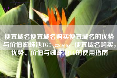 便宜域名便宜域名购买便宜域名的优势与价值蜘蛛池TG：zzcseo，便宜域名购买，优势、价值与蜘蛛池TG的使用指南