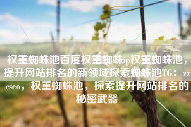 权重蜘蛛池百度权重蜘蛛ip权重蜘蛛池，提升网站排名的新领域探索蜘蛛池TG：zzcseo，权重蜘蛛池，探索提升网站排名的秘密武器