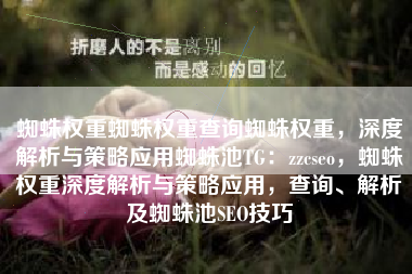蜘蛛权重蜘蛛权重查询蜘蛛权重，深度解析与策略应用蜘蛛池TG：zzcseo，蜘蛛权重深度解析与策略应用，查询、解析及蜘蛛池SEO技巧