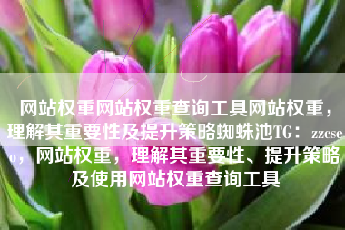 网站权重网站权重查询工具网站权重，理解其重要性及提升策略蜘蛛池TG：zzcseo，网站权重，理解其重要性、提升策略及使用网站权重查询工具