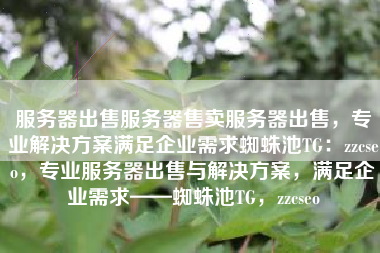 服务器出售服务器售卖服务器出售，专业解决方案满足企业需求蜘蛛池TG：zzcseo，专业服务器出售与解决方案，满足企业需求——蜘蛛池TG，zzcseo