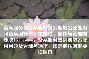 备案服务器备案服务器到期域名还能用吗备案服务器，重要性、操作与管理蜘蛛池TG：zzcseo，备案服务器到期域名使用问题及管理与操作，蜘蛛池TG的重要性探讨