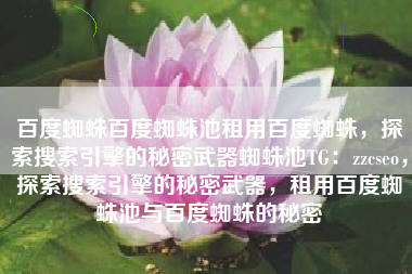 百度蜘蛛百度蜘蛛池租用百度蜘蛛，探索搜索引擎的秘密武器蜘蛛池TG：zzcseo，探索搜索引擎的秘密武器，租用百度蜘蛛池与百度蜘蛛的秘密