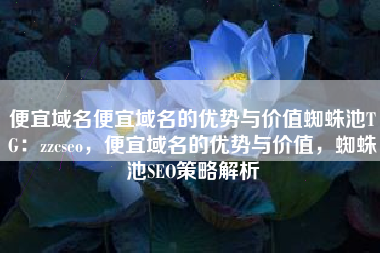 便宜域名便宜域名的优势与价值蜘蛛池TG：zzcseo，便宜域名的优势与价值，蜘蛛池SEO策略解析