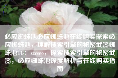 必应蜘蛛池必应蜘蛛池在线购买探索必应蜘蛛池，理解搜索引擎的秘密武器蜘蛛池TG：zzcseo，探索搜索引擎的秘密武器，必应蜘蛛池深度解析与在线购买指南