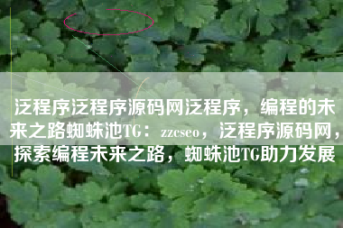 泛程序泛程序源码网泛程序，编程的未来之路蜘蛛池TG：zzcseo，泛程序源码网，探索编程未来之路，蜘蛛池TG助力发展