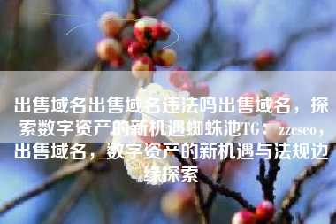 出售域名出售域名违法吗出售域名，探索数字资产的新机遇蜘蛛池TG：zzcseo，出售域名，数字资产的新机遇与法规边缘探索