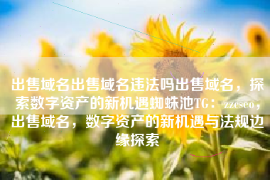 出售域名出售域名违法吗出售域名，探索数字资产的新机遇蜘蛛池TG：zzcseo，出售域名，数字资产的新机遇与法规边缘探索