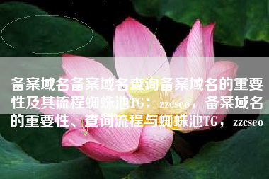 备案域名备案域名查询备案域名的重要性及其流程蜘蛛池TG：zzcseo，备案域名的重要性、查询流程与蜘蛛池TG，zzcseo