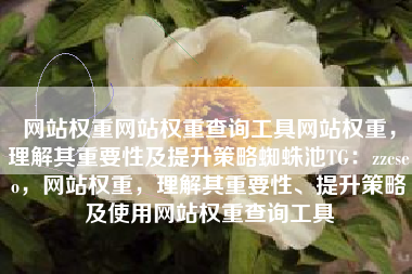 网站权重网站权重查询工具网站权重，理解其重要性及提升策略蜘蛛池TG：zzcseo，网站权重，理解其重要性、提升策略及使用网站权重查询工具