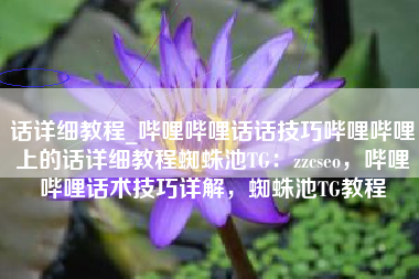 话详细教程_哔哩哔哩话话技巧哔哩哔哩上的话详细教程蜘蛛池TG：zzcseo，哔哩哔哩话术技巧详解，蜘蛛池TG教程