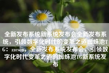 全新发布系统新系统发布会全新发布系统，引领数字化时代的变革之道蜘蛛池TG：zzcseo，全新发布系统发布会，引领数字化时代变革之道的蜘蛛池TG新系统发布