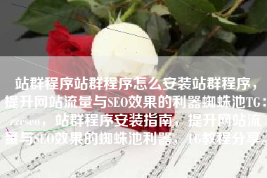 站群程序站群程序怎么安装站群程序，提升网站流量与SEO效果的利器蜘蛛池TG：zzcseo，站群程序安装指南，提升网站流量与SEO效果的蜘蛛池利器，TG教程分享。