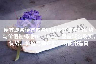 便宜域名便宜域名购买便宜域名的优势与价值蜘蛛池TG：zzcseo，便宜域名购买，优势、价值与蜘蛛池TG的使用指南