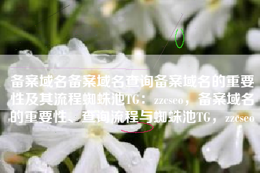 备案域名备案域名查询备案域名的重要性及其流程蜘蛛池TG：zzcseo，备案域名的重要性、查询流程与蜘蛛池TG，zzcseo