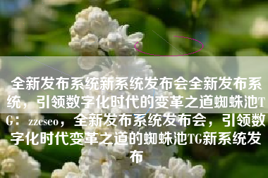 全新发布系统新系统发布会全新发布系统，引领数字化时代的变革之道蜘蛛池TG：zzcseo，全新发布系统发布会，引领数字化时代变革之道的蜘蛛池TG新系统发布