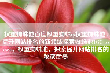 权重蜘蛛池百度权重蜘蛛ip权重蜘蛛池，提升网站排名的新领域探索蜘蛛池TG：zzcseo，权重蜘蛛池，探索提升网站排名的秘密武器