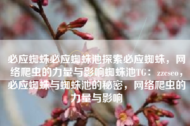 必应蜘蛛必应蜘蛛池探索必应蜘蛛，网络爬虫的力量与影响蜘蛛池TG：zzcseo，必应蜘蛛与蜘蛛池的秘密，网络爬虫的力量与影响