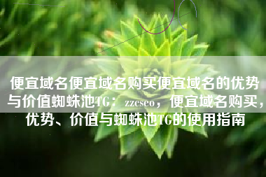 便宜域名便宜域名购买便宜域名的优势与价值蜘蛛池TG：zzcseo，便宜域名购买，优势、价值与蜘蛛池TG的使用指南