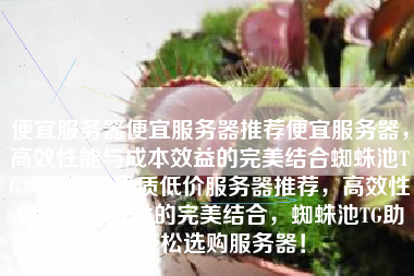 便宜服务器便宜服务器推荐便宜服务器，高效性能与成本效益的完美结合蜘蛛池TG：zzcseo，优质低价服务器推荐，高效性能与成本效益的完美结合，蜘蛛池TG助你轻松选购服务器！