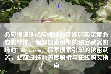 必应蜘蛛池必应蜘蛛池在线购买探索必应蜘蛛池，理解搜索引擎的秘密武器蜘蛛池TG：zzcseo，探索搜索引擎的秘密武器，必应蜘蛛池深度解析与在线购买指南