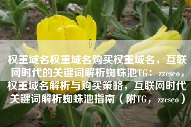 权重域名权重域名购买权重域名，互联网时代的关键词解析蜘蛛池TG：zzcseo，权重域名解析与购买策略，互联网时代关键词解析蜘蛛池指南（附TG，zzcseo）