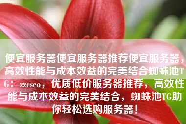 便宜服务器便宜服务器推荐便宜服务器，高效性能与成本效益的完美结合蜘蛛池TG：zzcseo，优质低价服务器推荐，高效性能与成本效益的完美结合，蜘蛛池TG助你轻松选购服务器！