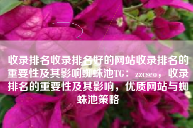 收录排名收录排名好的网站收录排名的重要性及其影响蜘蛛池TG：zzcseo，收录排名的重要性及其影响，优质网站与蜘蛛池策略