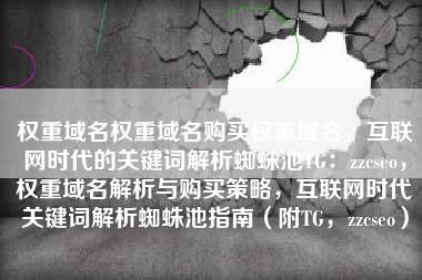 权重域名权重域名购买权重域名，互联网时代的关键词解析蜘蛛池TG：zzcseo，权重域名解析与购买策略，互联网时代关键词解析蜘蛛池指南（附TG，zzcseo）