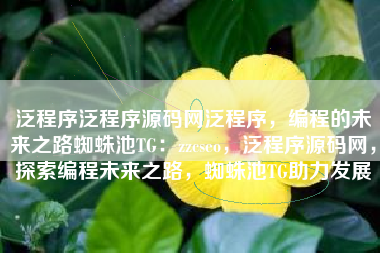 泛程序泛程序源码网泛程序，编程的未来之路蜘蛛池TG：zzcseo，泛程序源码网，探索编程未来之路，蜘蛛池TG助力发展