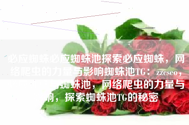 必应蜘蛛必应蜘蛛池探索必应蜘蛛，网络爬虫的力量与影响蜘蛛池TG：zzcseo，必应蜘蛛与蜘蛛池，网络爬虫的力量与影响，探索蜘蛛池TG的秘密