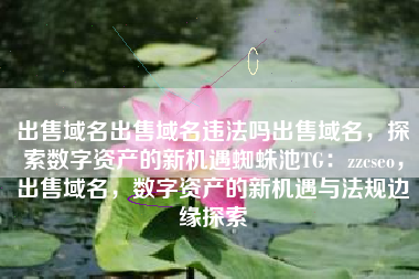 出售域名出售域名违法吗出售域名，探索数字资产的新机遇蜘蛛池TG：zzcseo，出售域名，数字资产的新机遇与法规边缘探索