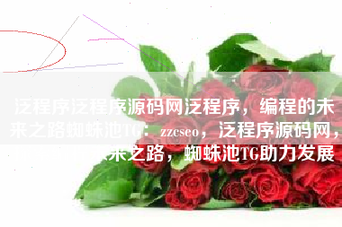 泛程序泛程序源码网泛程序，编程的未来之路蜘蛛池TG：zzcseo，泛程序源码网，探索编程未来之路，蜘蛛池TG助力发展