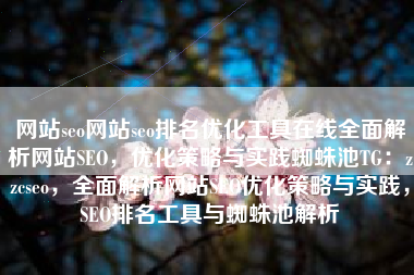 网站seo网站seo排名优化工具在线全面解析网站SEO，优化策略与实践蜘蛛池TG：zzcseo，全面解析网站SEO优化策略与实践，SEO排名工具与蜘蛛池解析