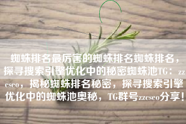 蜘蛛排名最厉害的蜘蛛排名蜘蛛排名，探寻搜索引擎优化中的秘密蜘蛛池TG：zzcseo，揭秘蜘蛛排名秘密，探寻搜索引擎优化中的蜘蛛池奥秘，TG群号zzcseo分享！