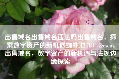 出售域名出售域名违法吗出售域名，探索数字资产的新机遇蜘蛛池TG：zzcseo，出售域名，数字资产的新机遇与法规边缘探索