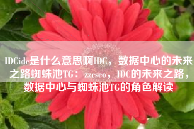 IDCidc是什么意思啊IDC，数据中心的未来之路蜘蛛池TG：zzcseo，IDC的未来之路，数据中心与蜘蛛池TG的角色解读