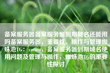 备案服务器备案服务器到期域名还能用吗备案服务器，重要性、操作与管理蜘蛛池TG：zzcseo，备案服务器到期域名使用问题及管理与操作，蜘蛛池TG的重要性探讨