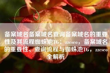 备案域名备案域名查询备案域名的重要性及其流程蜘蛛池TG：zzcseo，备案域名的重要性、查询流程与蜘蛛池TG，zzcseo全解析