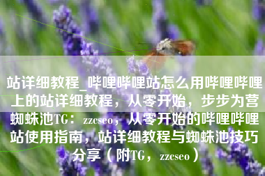 站详细教程_哔哩哔哩站怎么用哔哩哔哩上的站详细教程，从零开始，步步为营蜘蛛池TG：zzcseo，从零开始的哔哩哔哩站使用指南，站详细教程与蜘蛛池技巧分享（附TG，zzcseo）
