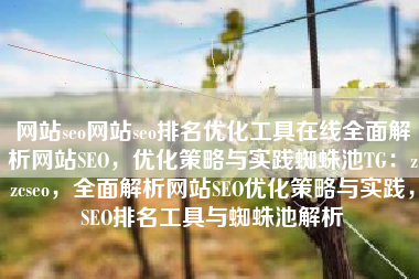 网站seo网站seo排名优化工具在线全面解析网站SEO，优化策略与实践蜘蛛池TG：zzcseo，全面解析网站SEO优化策略与实践，SEO排名工具与蜘蛛池解析