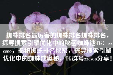 蜘蛛排名最厉害的蜘蛛排名蜘蛛排名，探寻搜索引擎优化中的秘密蜘蛛池TG：zzcseo，揭秘蜘蛛排名秘密，探寻搜索引擎优化中的蜘蛛池奥秘，TG群号zzcseo分享！