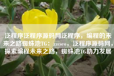 泛程序泛程序源码网泛程序，编程的未来之路蜘蛛池TG：zzcseo，泛程序源码网，探索编程未来之路，蜘蛛池TG助力发展