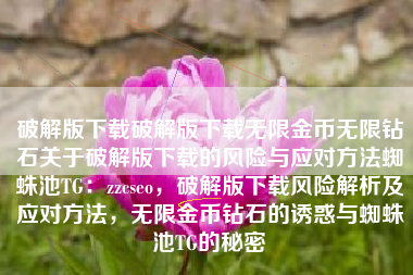破解版下载破解版下载无限金币无限钻石关于破解版下载的风险与应对方法蜘蛛池TG：zzcseo，破解版下载风险解析及应对方法，无限金币钻石的诱惑与蜘蛛池TG的秘密