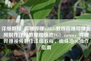 详细教程_哔哩哔哩bilibili教程哔哩哔哩视频制作详细教程蜘蛛池TG：zzcseo，哔哩哔哩视频制作详细教程，蜘蛛池TG操作指南