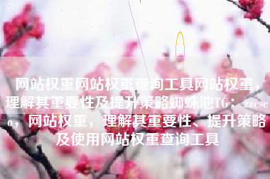 网站权重网站权重查询工具网站权重，理解其重要性及提升策略蜘蛛池TG：zzcseo，网站权重，理解其重要性、提升策略及使用网站权重查询工具
