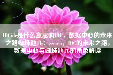 IDCidc是什么意思啊IDC，数据中心的未来之路蜘蛛池TG：zzcseo，IDC的未来之路，数据中心与蜘蛛池TG的角色解读